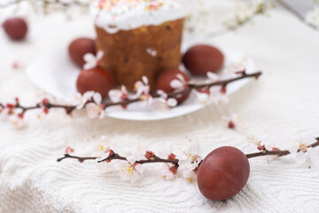 Easter cake and painted eggs blooming branch