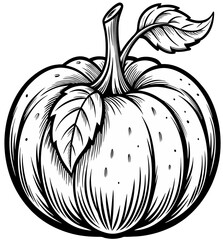 pumpkin isolated on white