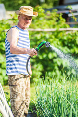 Farmer with garden hose and gun nozzle watering vegetable plants in summer. Gardening concept. Agriculture plants growing in bed row