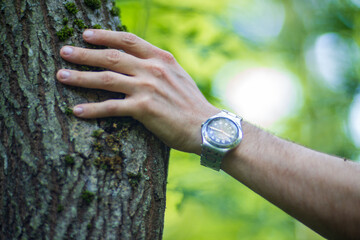 A man's hand touch the tree trunk close-up. Bark wood. Caring for the environment. The ecology concept of saving the world and love nature by human
