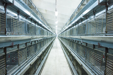 Chicken incubator machine, new empty hatchery, agricultural industry