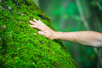 Naklejka na ściany i meble A man's hand touch the tree trunk close-up. Bark wood.Caring for the environment. The ecology concept of saving the world and love nature by human