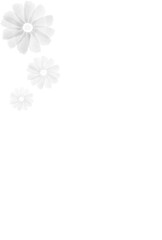 Fototapeta na wymiar 水彩のモノクロの花の背景イラスト
