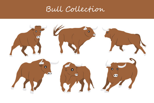 Bull cartoon vector illustration. Cute bull in different poses and actions.