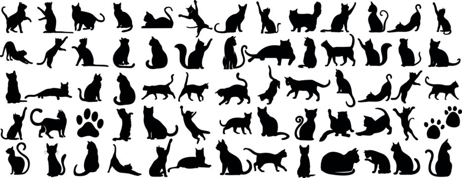 playful cat silhouette in various poses. cat vector are Perfect for pet themed vector illustrations. Captures the essence of feline behavior and movement