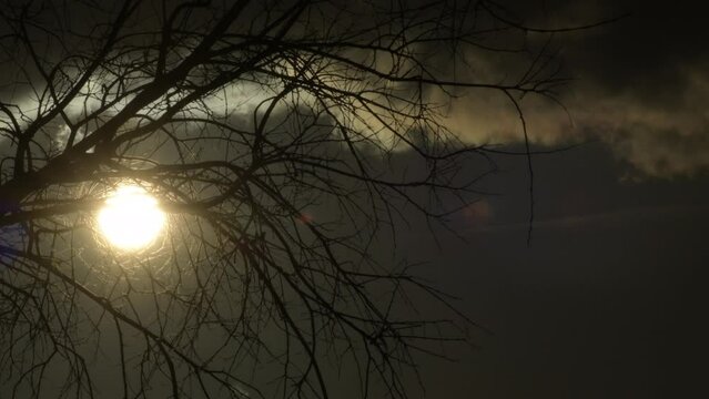 Sundowning with a dry tree and clouds moving. Time Lapse