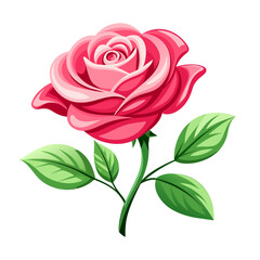 Rose flower vector isolated