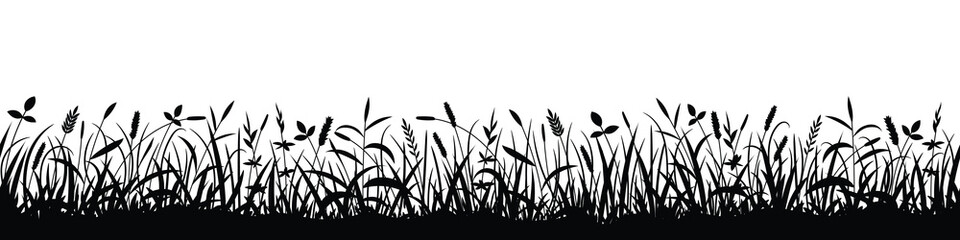 Drawn wild grass isolated on white background, seamless border, vector design - obrazy, fototapety, plakaty