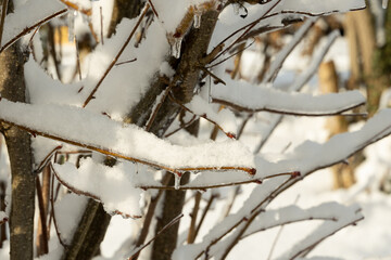 schnee kalt frost winter