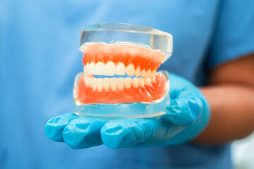 Fototapeta na wymiar Denture, dentist holding dental teeth model to study and treat in hospital.