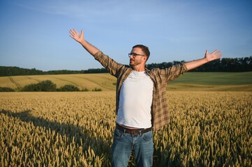 Sunny picture of happy farmer looking up in sky and outstretching hands. Stand in middle or wheat field and enjoy. Ripe harvest time. Sunrise or sunset