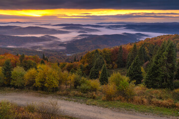 Wschód słońca na Jaworzynie Krynickiej jesienią. Piękne krajobrazy.
