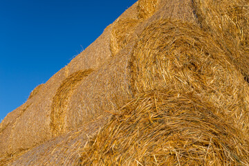 Piled hay bales on a field against blue sky