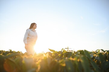 Female farmer or agronomist examining green soybean plants in field - obrazy, fototapety, plakaty