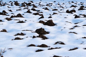 Black earth, arable land covered with snow