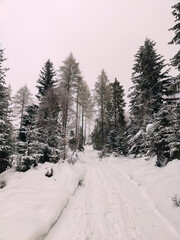 Winter Trekking on Radziejowa mountain in Beskid Sądecki, Poland, Europe