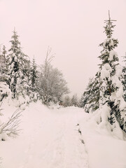Winter Trekking on Radziejowa mountain in Beskid Sądecki, Poland, Europe
