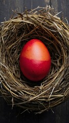 Colourful Easter eggs in nest