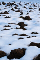 Black earth, arable land covered with snow