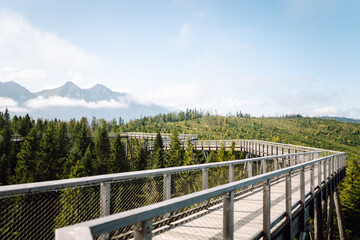 Fototapeta premium Wooden Stair through the Natural park. Adventure, travel, sport, active life. 