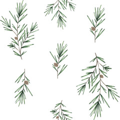 spruce branches pattern