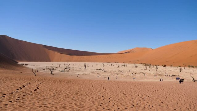 Dead dry tree snag in arid desert on background of red orange sand dunes. National park Sossusvlei Desert Deadvlei Namibia. Many people travelers come to see wonder of nature. Global warming world