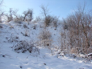 A view against the sun of a snow-covered hillside on both sides of the road that sparkles from the sun's rays against the background of a barely cloudy white-blue sky on the horizon.
