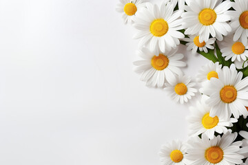 Horizontal white background with a bouquet of white daisies on the right and space for text. Generated by artificial intelligence