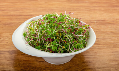 bowl of green sprout salad, sprouts in a white bowl