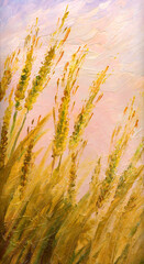 A field of ripe spikelets of wheat. Oil painting