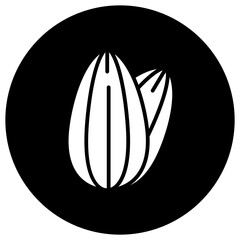 Nut Vector Icon Design Illustration