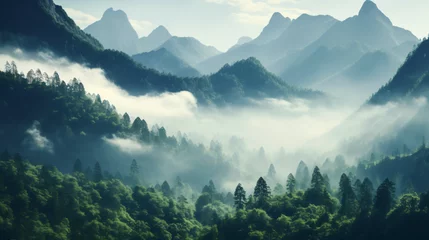 Photo sur Plexiglas Matin avec brouillard A view of a mountain