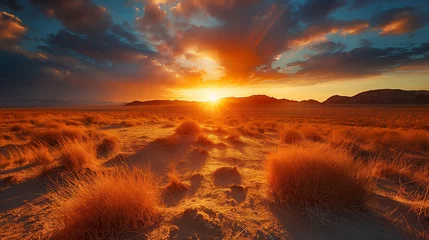 Gordijnen sunset over the field © anna