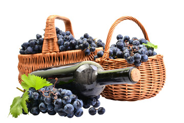 Grapes wine in basket isolated