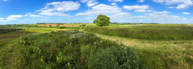 Medow fields and a blue sky, tree, path in countryside England. Picturesque, panorama - obrazy, fototapety, plakaty