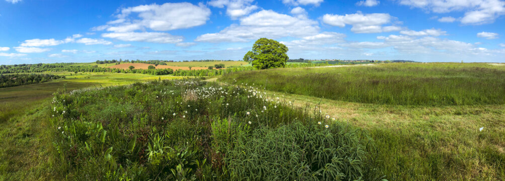 Medow fields and a blue sky, tree, path in countryside England. Picturesque, panorama