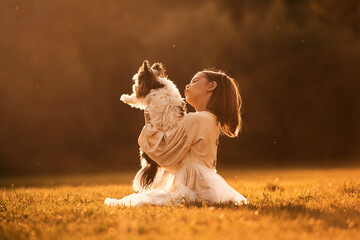 Illuminated by sunlight. Cute little girl is on the field with dog