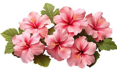 A Bunch of Pink Flowers With Green Leaves. This photo depicts a cluster of pink flowers, accompanied by lush green leaves, creating a vibrant and colorful scene.