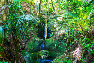 Sunlight and shadows over a small forest waterfall, New Zealand rainforest park. Natural background
