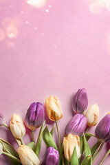 Beautiful tulips on pink background with sunshine bokeh, top view. Copy space.