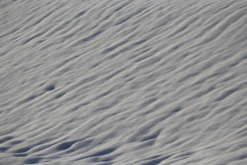 白銀の世界に日が差し込んでいる