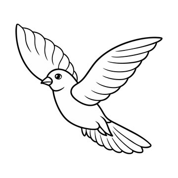 dove flying in the sky. Line art style isolated. Hand drawn vector illustration.