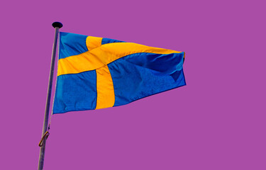 Swedish flag - 735943994