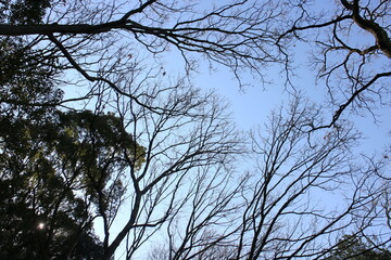 冬の風景　ハイキング　山の探索