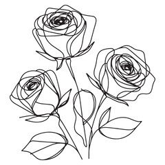 Three Roses Sketch Linear Style