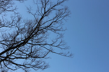 冬の風景　ハイキング　山の探索