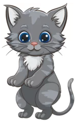 Foto op Plexiglas Kinderen Cute grey kitten with big blue eyes standing.