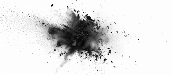 Fotobehang A monochrome photography art piece showcasing a black ink splash on a white background, resembling a cloud in the sky or a plant growing in the soil © 2rogan