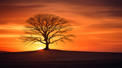 Germany: Silhouette of a single bare tree at sunset