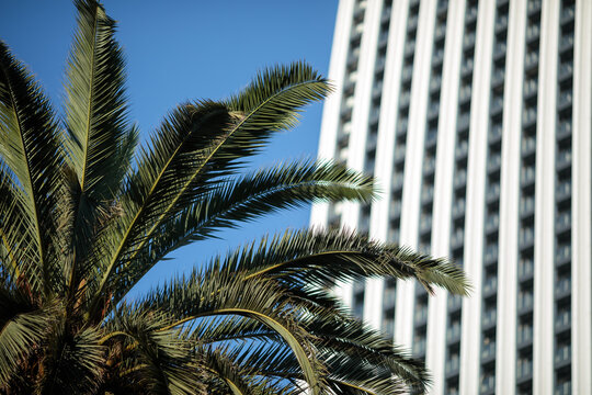 Minimalistic photo of a modern building with a striped pattern on its exterior stands out against a clear blue sky. A palm tree is visible to the left of the building